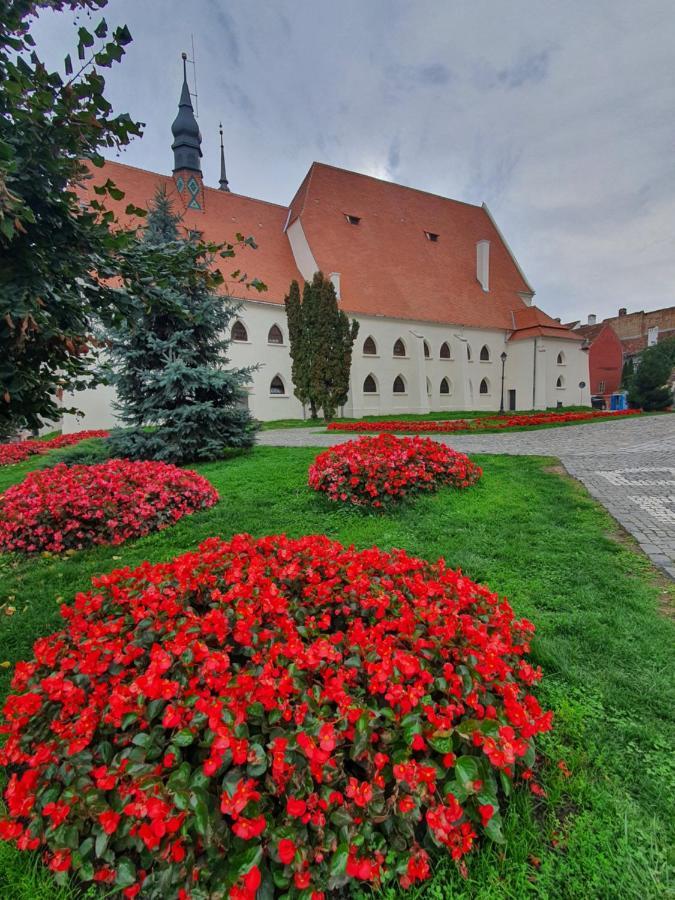 Via Transilvanica Sighisoara Hotel Esterno foto